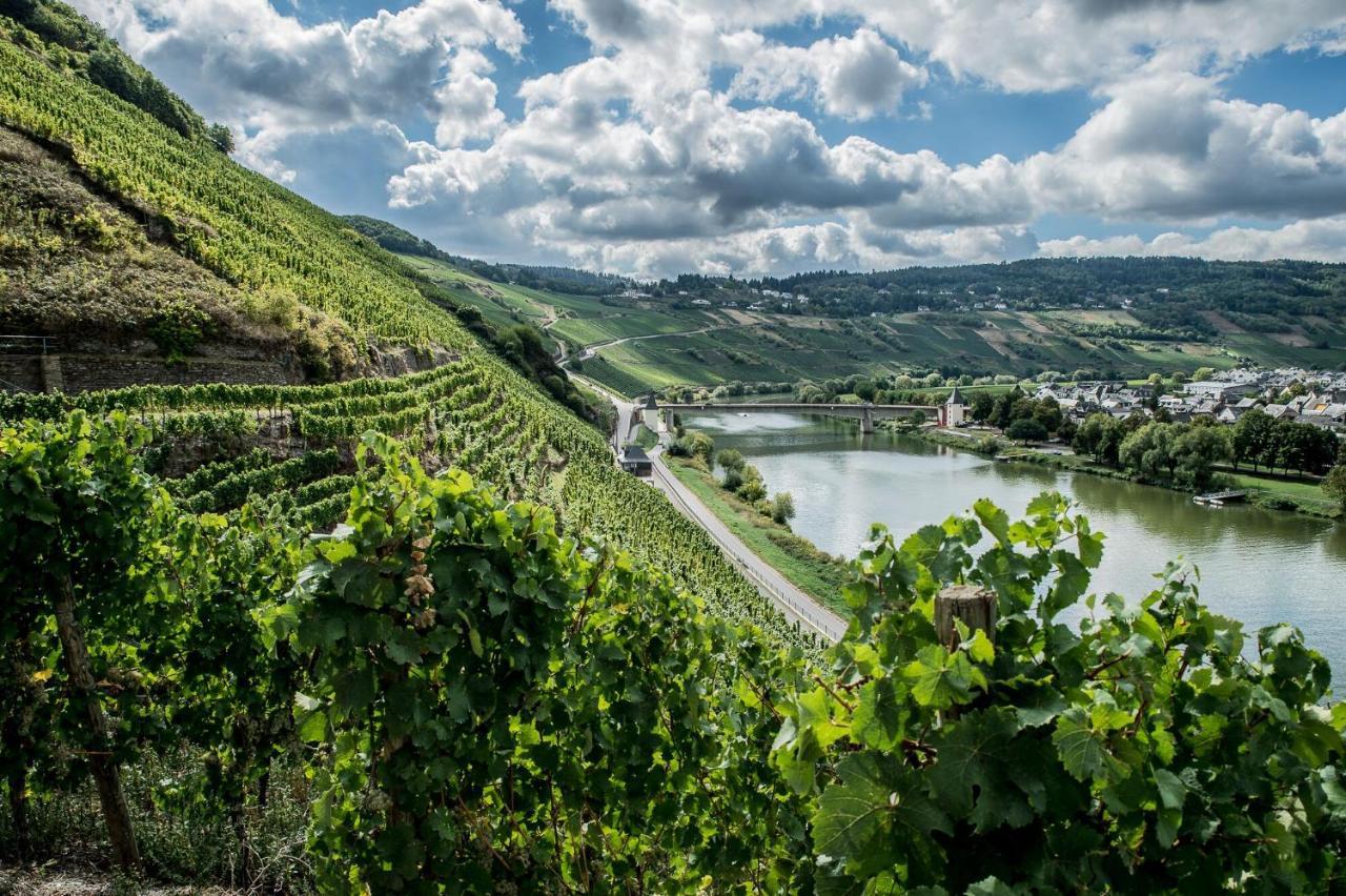 Gastehaus-Weingut Loersch Hotell Leiwen Eksteriør bilde