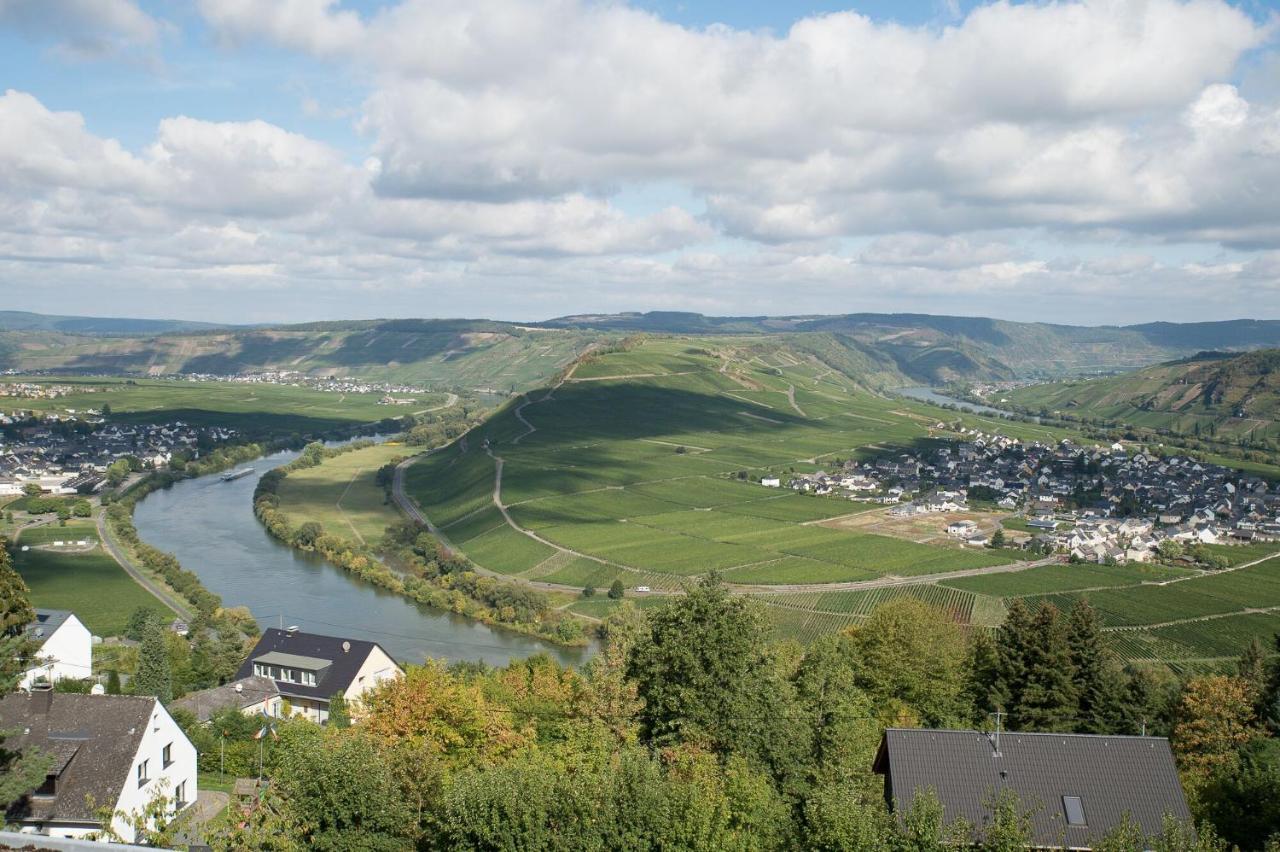 Gaestehaus-Weingut Loersch Leiwen Eksteriør bilde